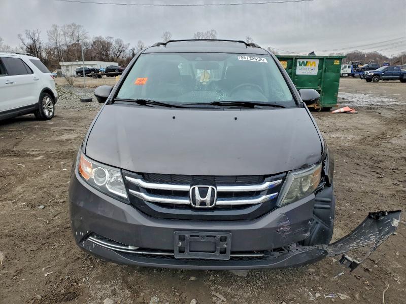 Фото 5 - HONDA All Models