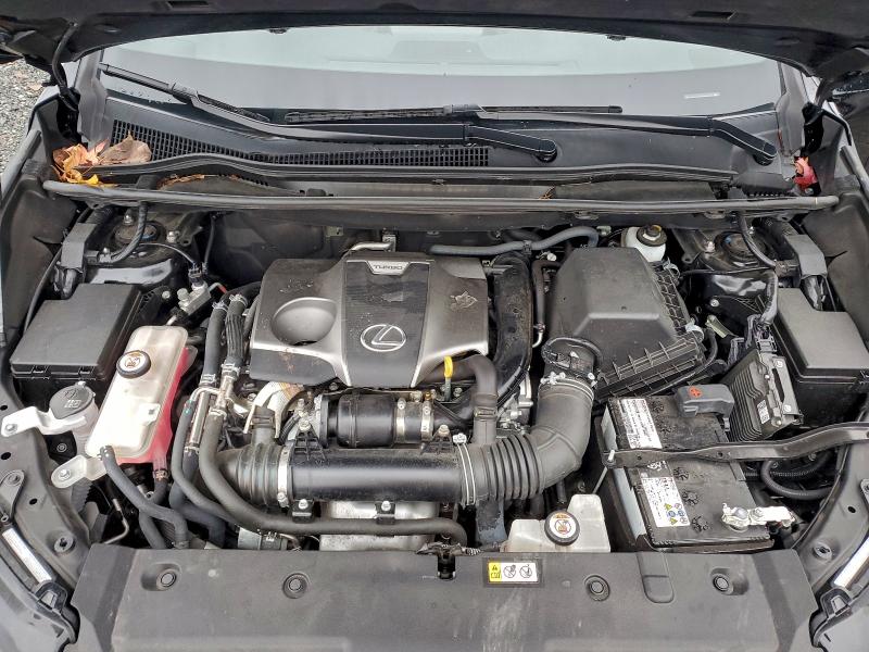 Фото 12 - LEXUS NX