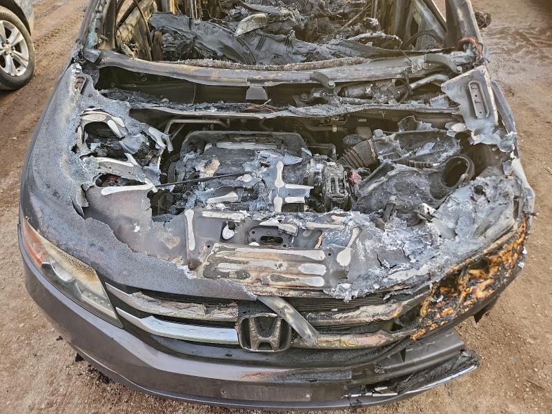 Фото 12 - HONDA All Models