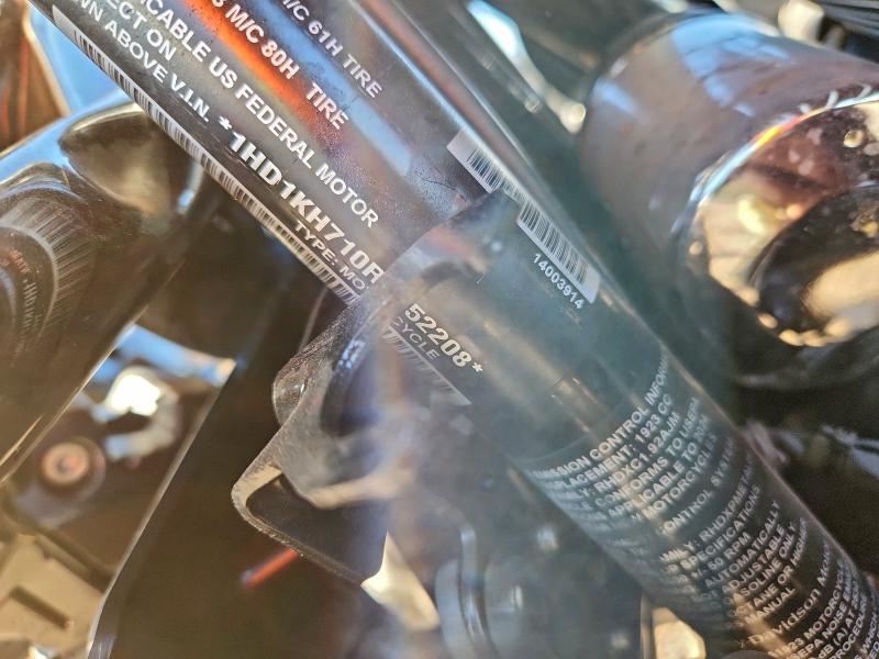 HARLEY-DAVIDSON FL 2024