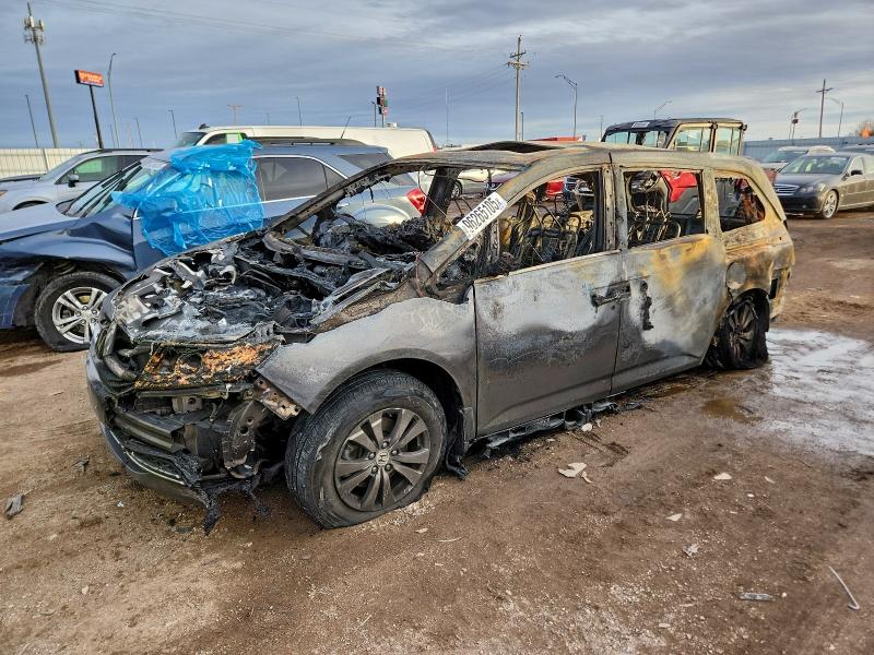 Фото 1 - HONDA All Models