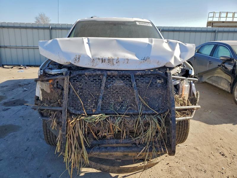 Фото 5 - FORD All Models