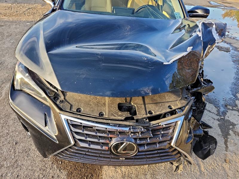 Фото 12 - LEXUS NX