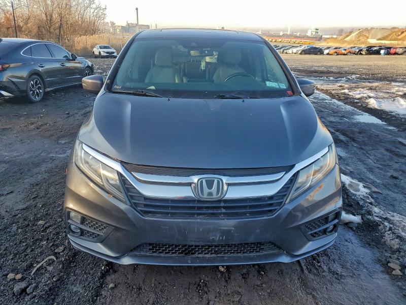 Фото 5 - HONDA All Models