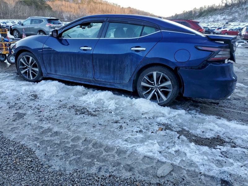 Фото 2 - NISSAN MAXIMA