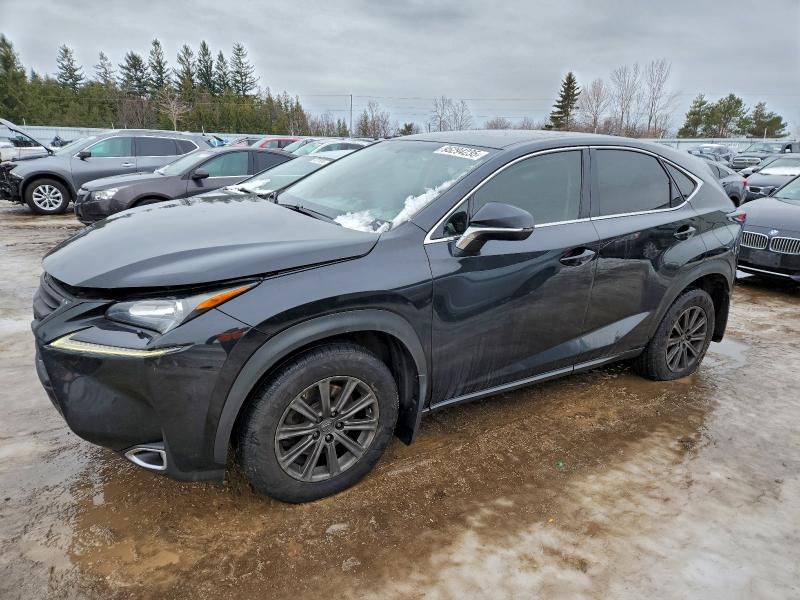 Фото 1 - LEXUS NX