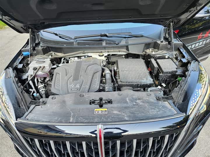 Hongqi HS3 Hybrid 2024 2024款 115km 劲为版