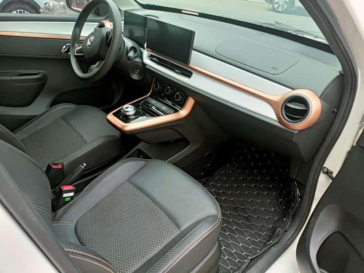 Dongfeng Nammi Nano EX1 2022 2022款 追风版 331KM 进阶型