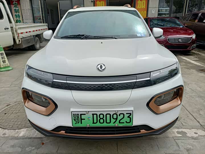 Dongfeng Nammi Nano EX1 2022 2022款 追风版 331KM 进阶型
