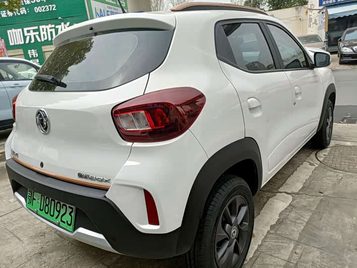 Dongfeng Nammi Nano EX1 2022 2022款 追风版 331KM 进阶型