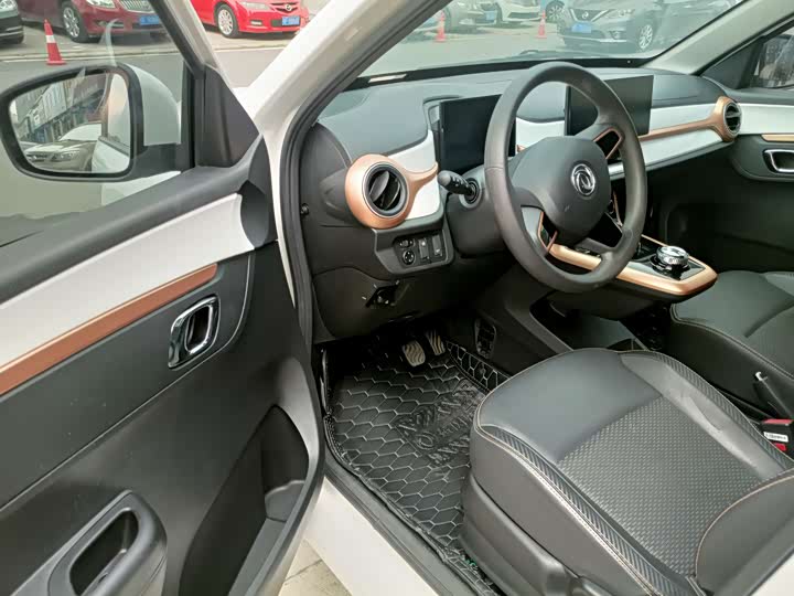 Dongfeng Nammi Nano EX1 2022 2022款 追风版 331KM 进阶型