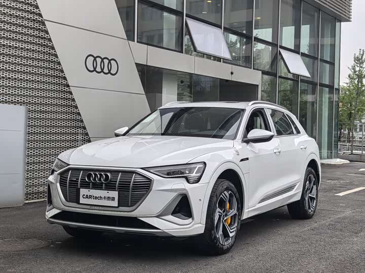 Audi e-tron 2021 2021款 50 quattro 豪华型