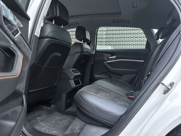 Audi e-tron 2021 2021款 50 quattro 豪华型