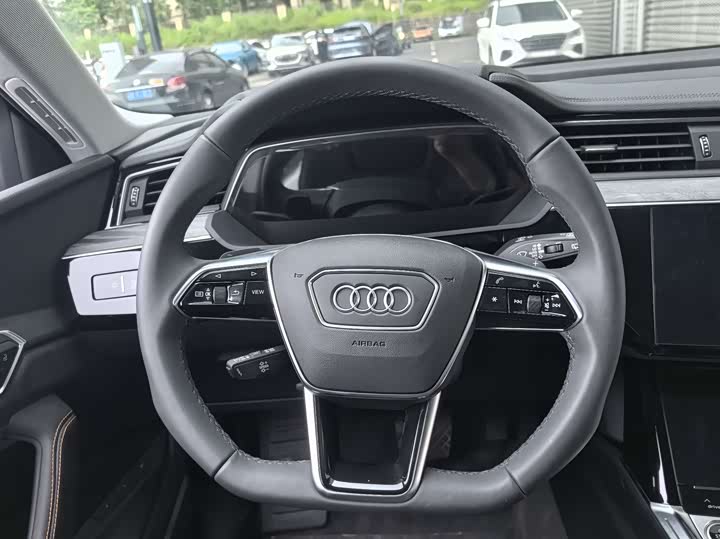 Audi e-tron 2021 2021款 50 quattro 豪华型