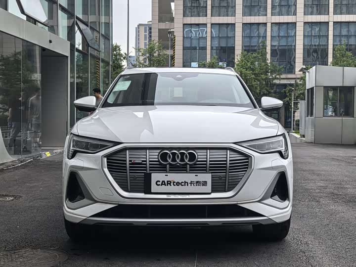 Audi e-tron 2021 2021款 50 quattro 豪华型