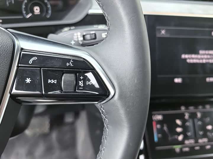 Audi e-tron 2021 2021款 50 quattro 豪华型