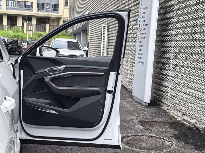 Audi e-tron 2021 2021款 50 quattro 豪华型