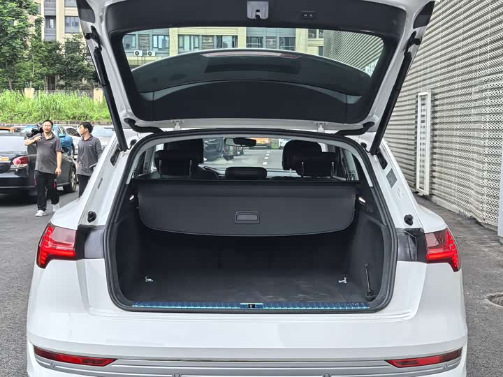 Audi e-tron 2021 2021款 50 quattro 豪华型