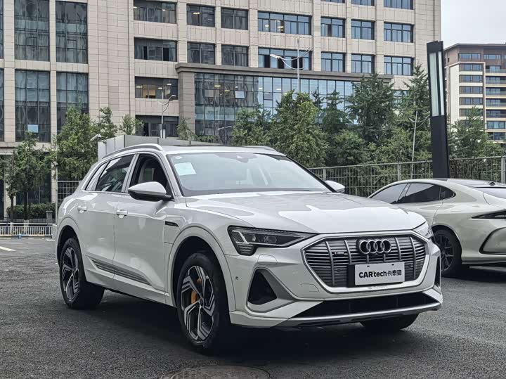 Audi e-tron 2021 2021款 50 quattro 豪华型