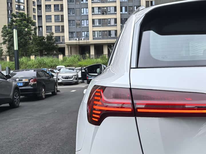 Audi e-tron 2021 2021款 50 quattro 豪华型