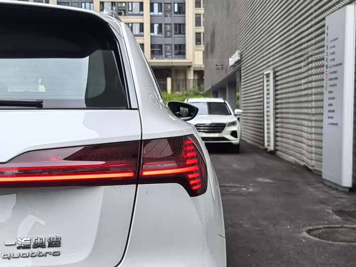 Audi e-tron 2021 2021款 50 quattro 豪华型