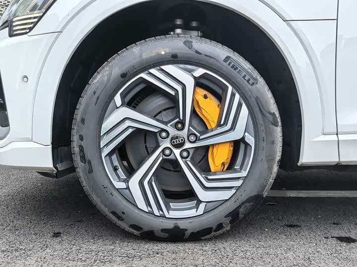 Audi e-tron 2021 2021款 50 quattro 豪华型