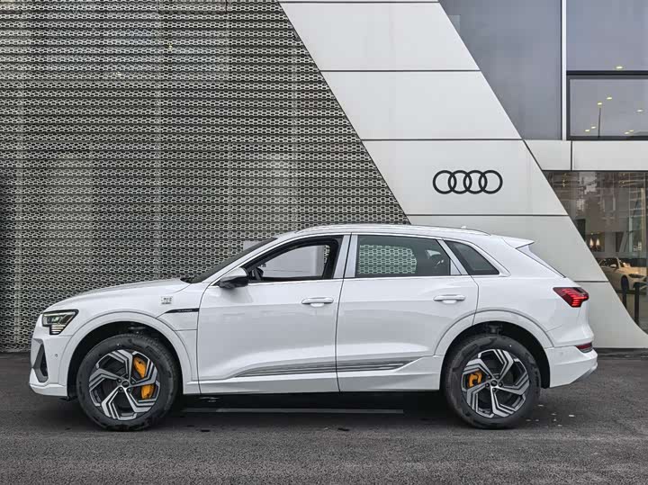 Audi e-tron 2021 2021款 50 quattro 豪华型