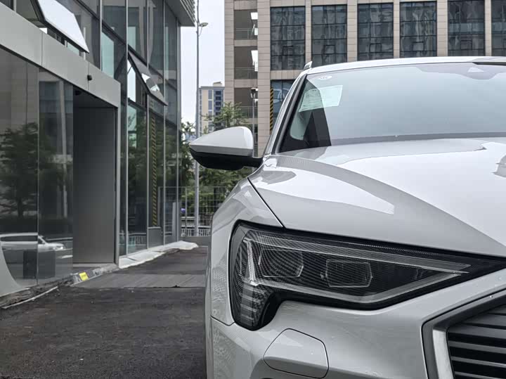 Audi e-tron 2021 2021款 50 quattro 豪华型