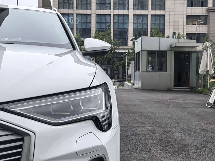 Audi e-tron 2021 2021款 50 quattro 豪华型