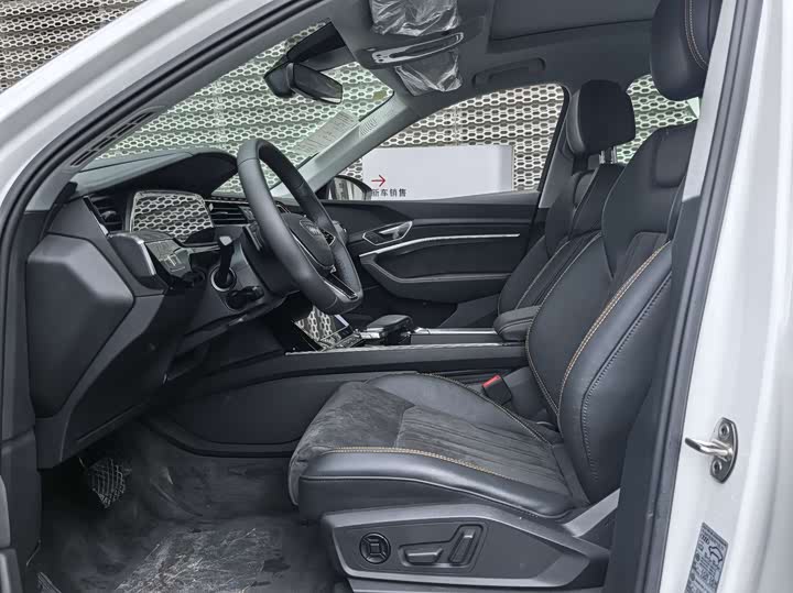 Audi e-tron 2021 2021款 50 quattro 豪华型