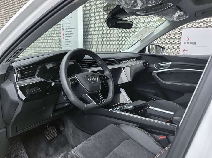 Audi e-tron 2021 2021款 50 quattro 豪华型
