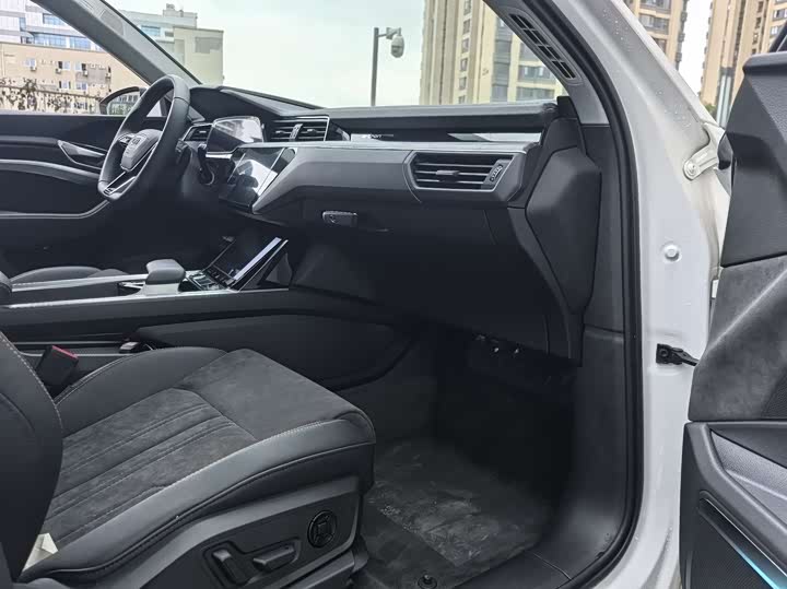 Audi e-tron 2021 2021款 50 quattro 豪华型