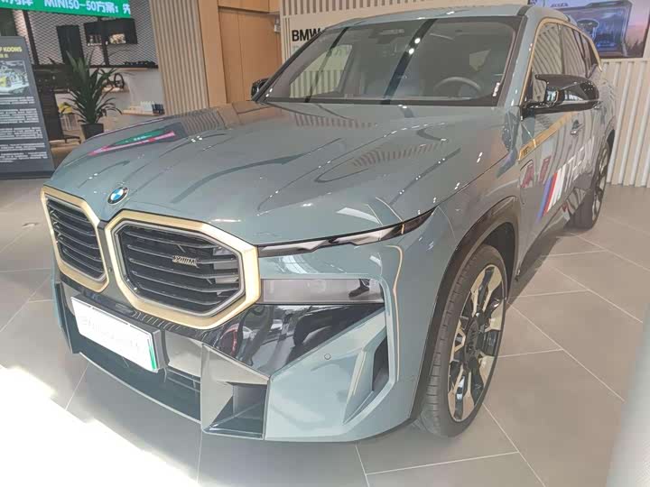 BMW XM 2023 2023款 基本型