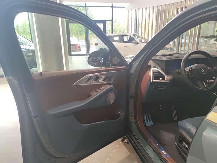 BMW XM 2023 2023款 基本型