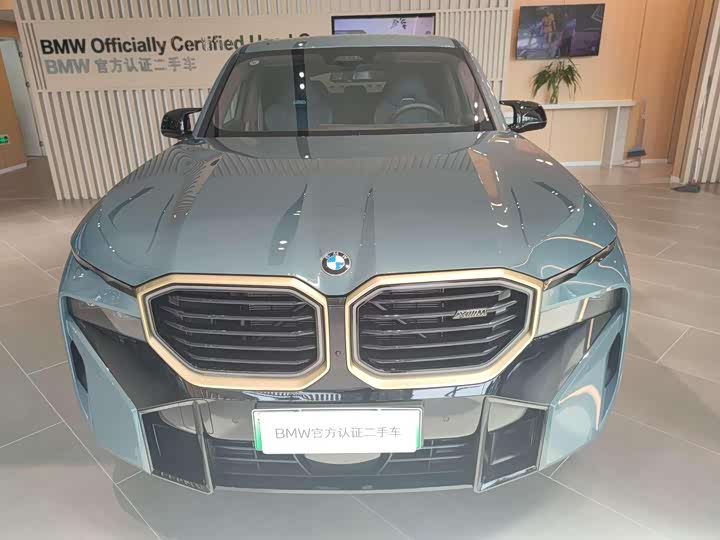 BMW XM 2023 2023款 基本型