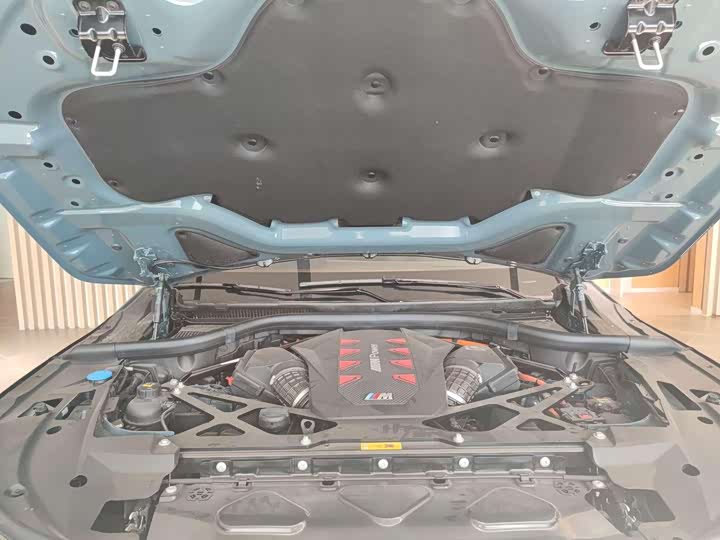 BMW XM 2023 2023款 基本型