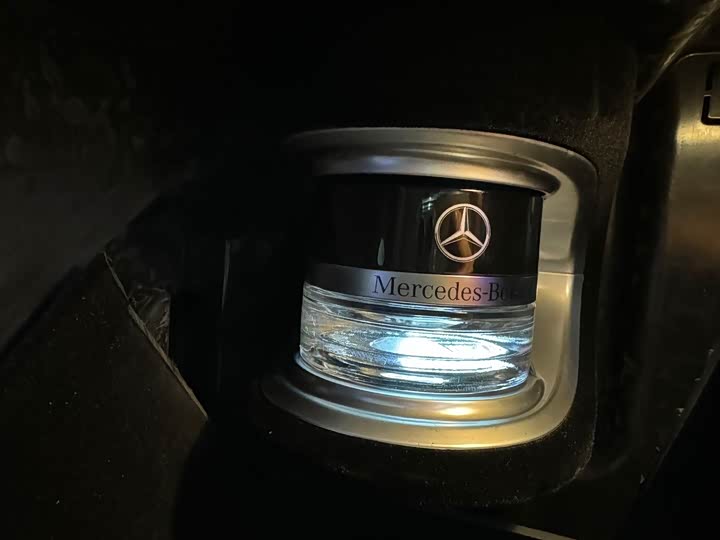 Mercedes-Benz GLS-Class 2025 2025款 GLS 450 4MATIC 动感型