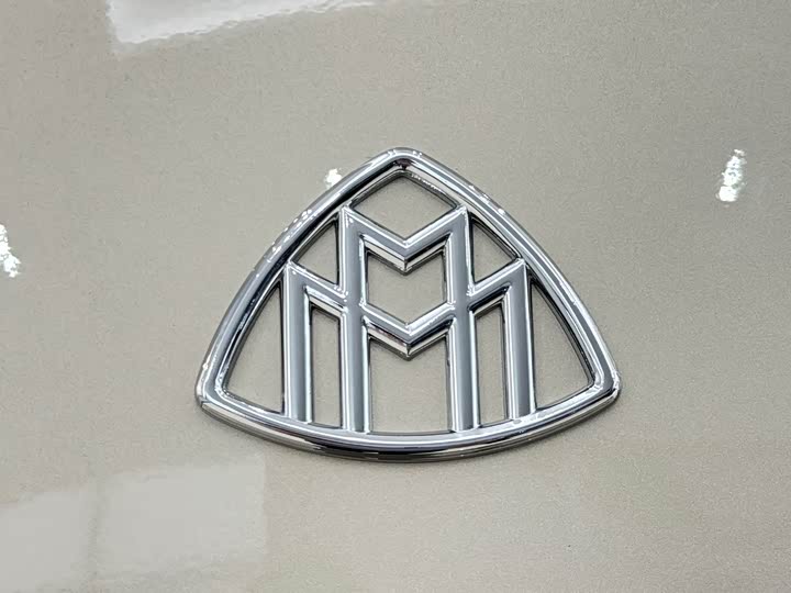 Mercedes-Benz GLS-Class 2025 2025款 GLS 450 4MATIC 动感型