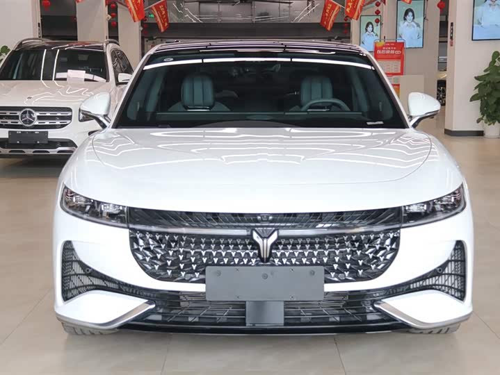 Voyah Passion 2024 2024款 PHEV 四驱超长续航旗舰版