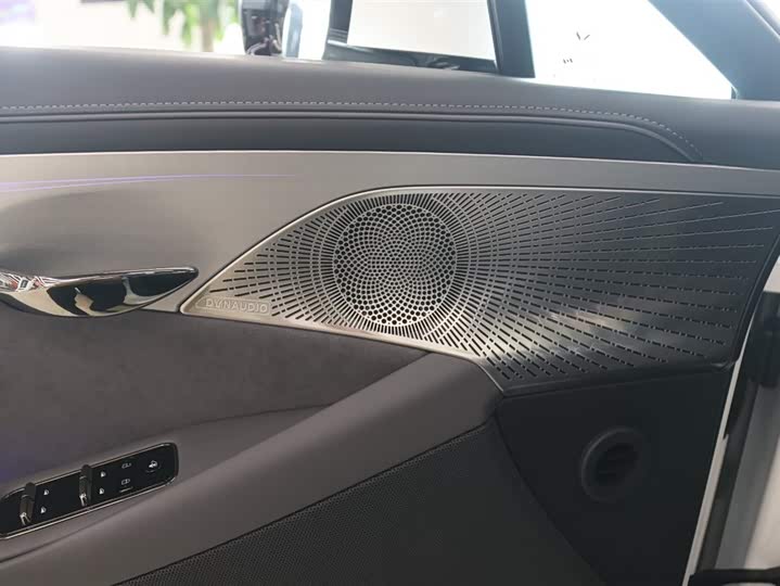 Voyah Passion 2024 2024款 PHEV 四驱超长续航旗舰版