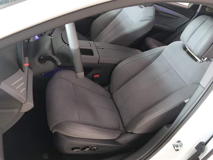 Voyah Passion 2024 2024款 PHEV 四驱超长续航旗舰版