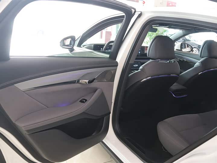 Voyah Passion 2024 2024款 PHEV 四驱超长续航旗舰版