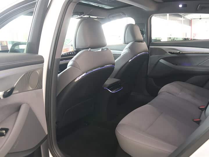 Voyah Passion 2024 2024款 PHEV 四驱超长续航旗舰版