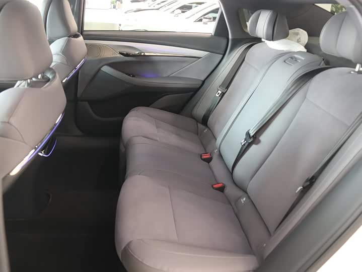 Voyah Passion 2024 2024款 PHEV 四驱超长续航旗舰版