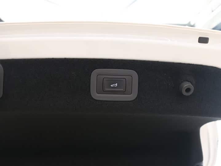 Voyah Passion 2024 2024款 PHEV 四驱超长续航旗舰版