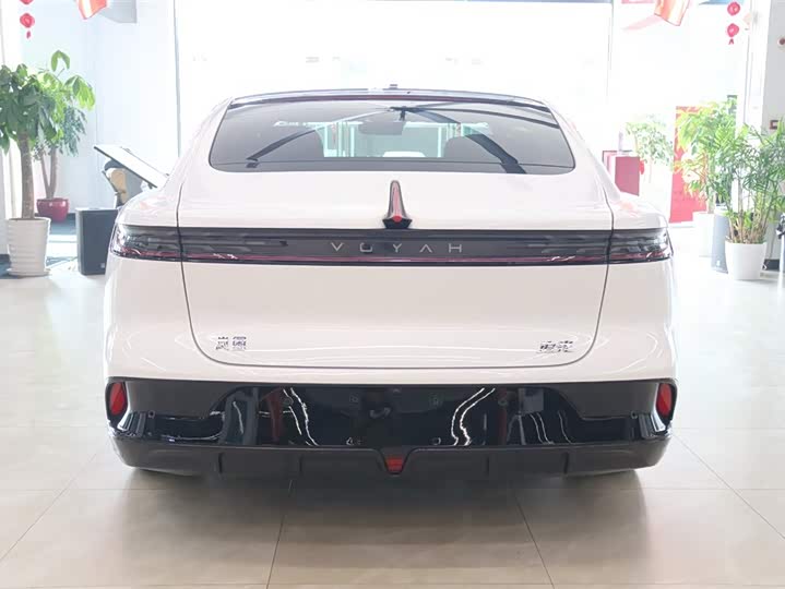 Voyah Passion 2024 2024款 PHEV 四驱超长续航旗舰版