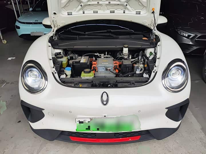 Ora Good Cat GT (03 GT) 2022 2022款 木兰版 480km长续航