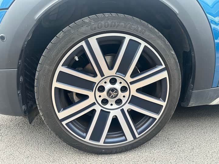 Mini Countryman 2023 2023款 2.0T COOPER S ALL4 鉴赏家