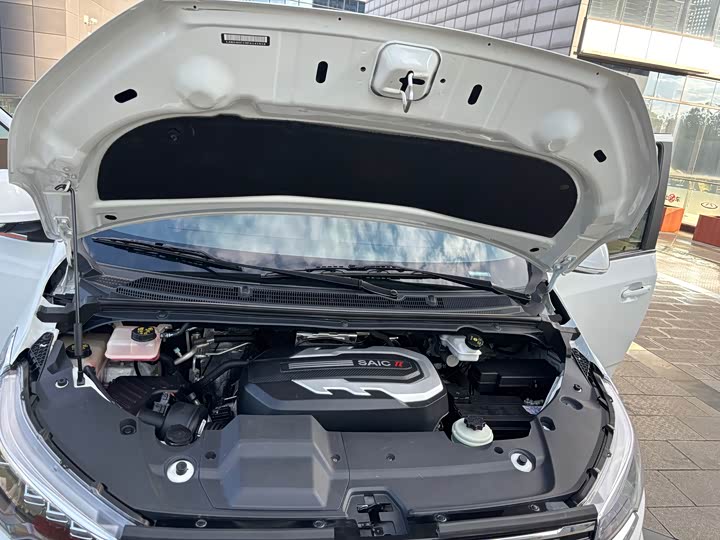 Maxus G20 2023 2023款 ES 2.0T 柴油手动超值版