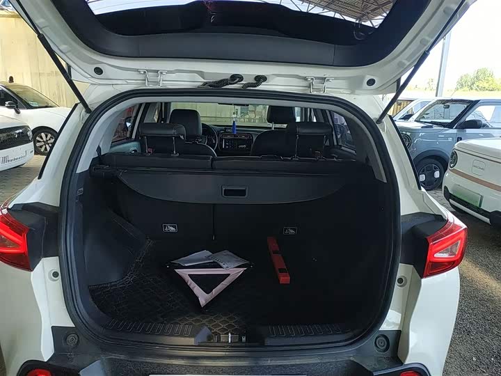 GAC Aion GE3 2020 2020款 530 互联网悦享版